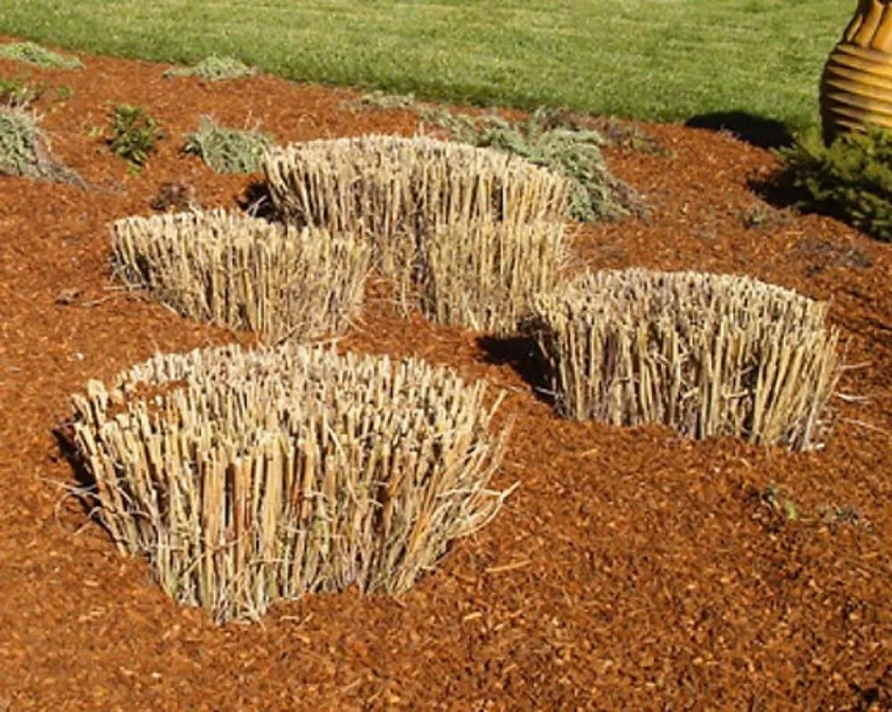 Top-rated yard cleanup service for outdoor upgrades in Strongsville, OH by Shaver Bros Landscaping