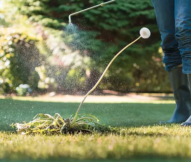 Reliable yard cleanup service in St. Joseph, MI - Shavery's Lawn Service