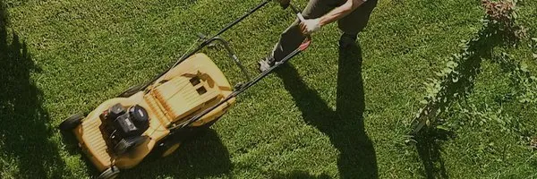 Shavery's Lawn Service Logo