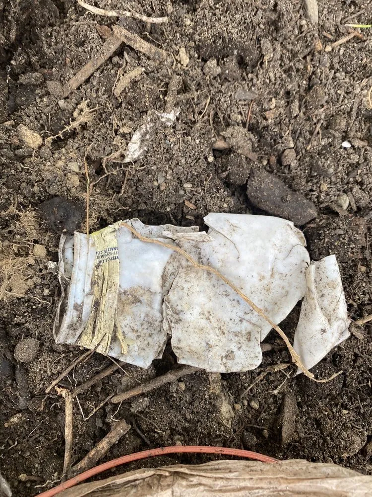 Top-rated yard maintenance in Augusta, ME by Shaw & Son Outdoor Maintenance