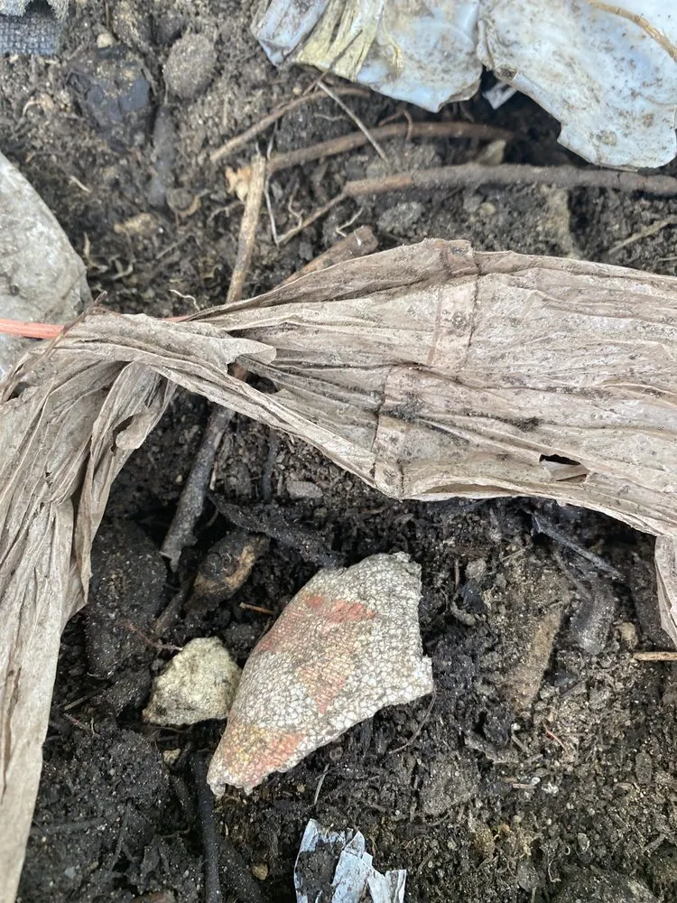 Professional lawn mowing service for residential properties in Augusta, ME by Shaw & Son Outdoor Maintenance