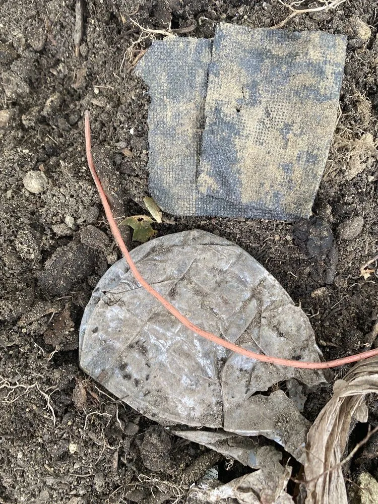 Professional landscaping services for homes in Augusta, ME by Shaw & Son Outdoor Maintenance