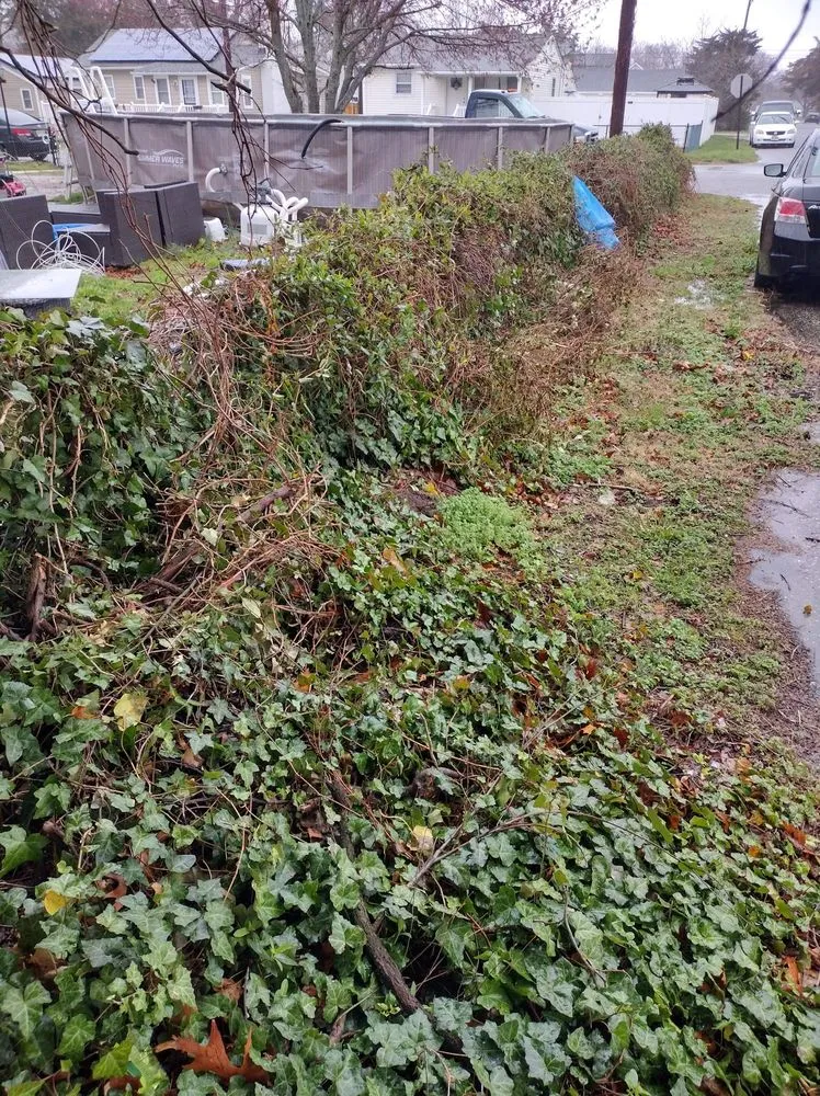 Affordable outdoor landscaping experts serving Villas, NJ - Shaw Family Landscaping