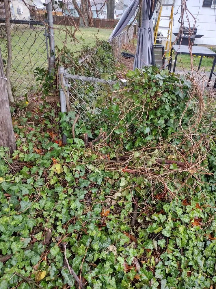 Professional outdoor landscaping in Villas, NJ - Shaw Family Landscaping