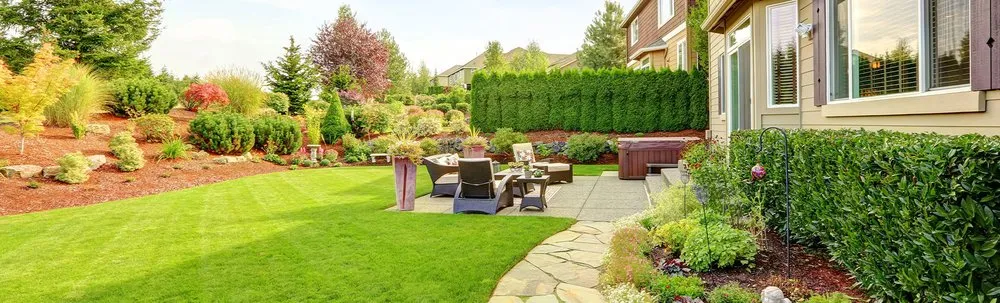 Top-rated yard cleanup service in Orlando, FL by Shaw Landscape & Lighting