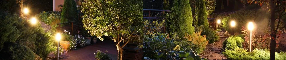 Trusted yard cleanup service in Orlando, FL - Shaw Landscape & Lighting