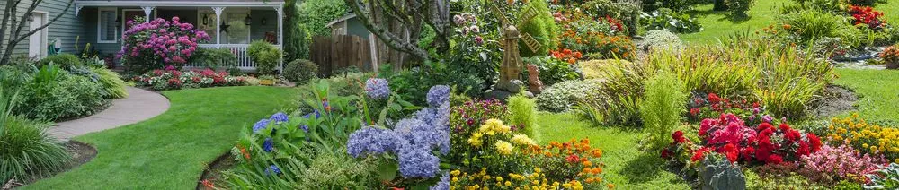 Reliable yard cleanup service for beautiful yards across Orlando, FL - Shaw Landscape & Lighting