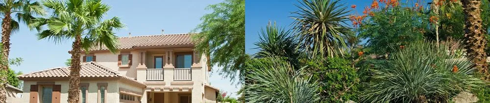 Custom outdoor landscaping for homes across Orlando, FL - Shaw Landscape & Lighting