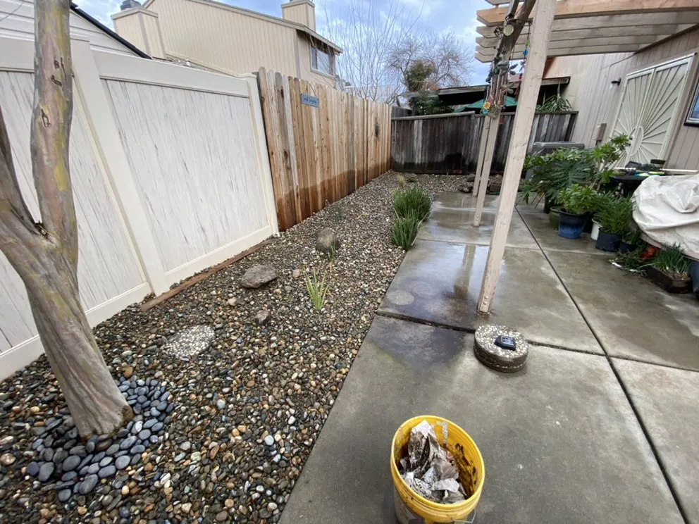 Expert yard cleanup service in Sacramento, CA by Shaw Landscapes