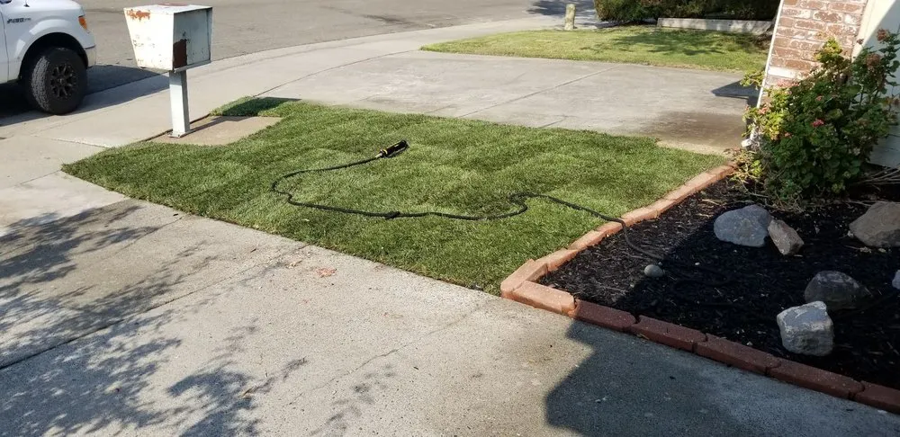 Top-rated yard maintenance for homes in Sacramento, CA by Shaw Landscapes