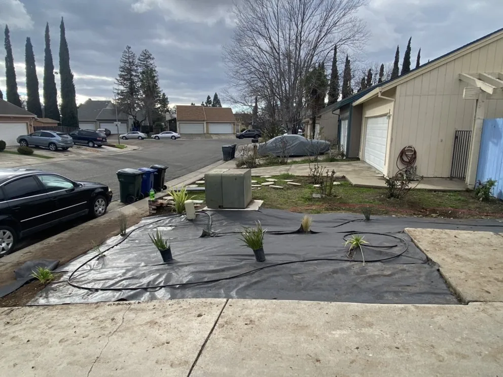 Affordable lawn care service in Sacramento, CA by Shaw Landscapes