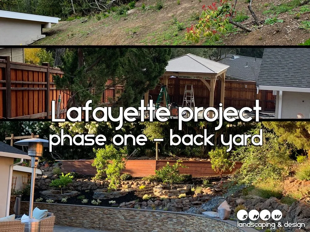 Trusted lawn mowing service for outdoor upgrades in Fairfax, CA by Shaw Landscaping & Design