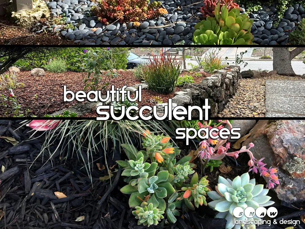 Affordable outdoor landscaping for beautiful yards across Fairfax, CA - Shaw Landscaping & Design