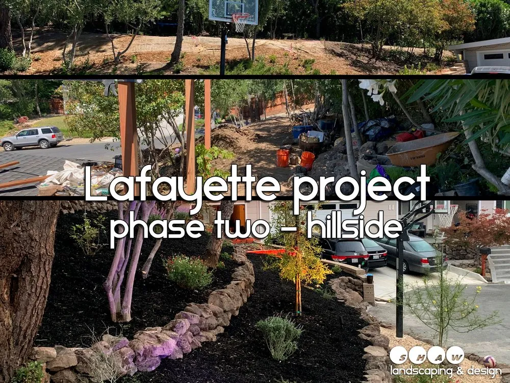 Professional yard maintenance for year-round maintenance in Fairfax, CA by Shaw Landscaping & Design