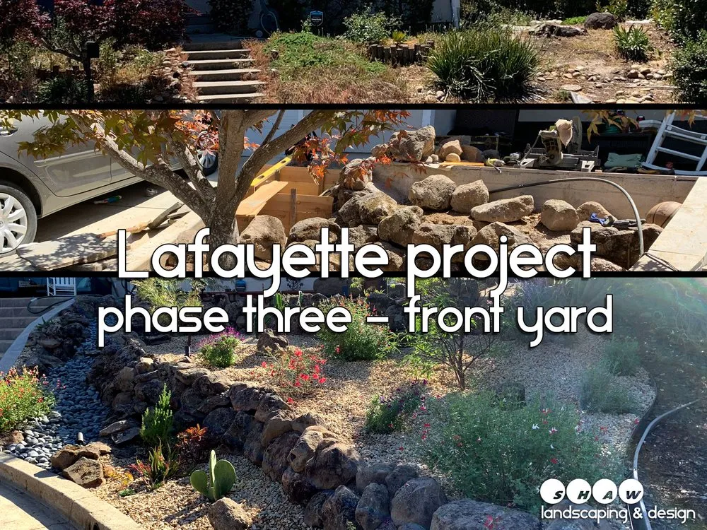 Top-rated lawn care service with custom design across Fairfax, CA - Shaw Landscaping & Design