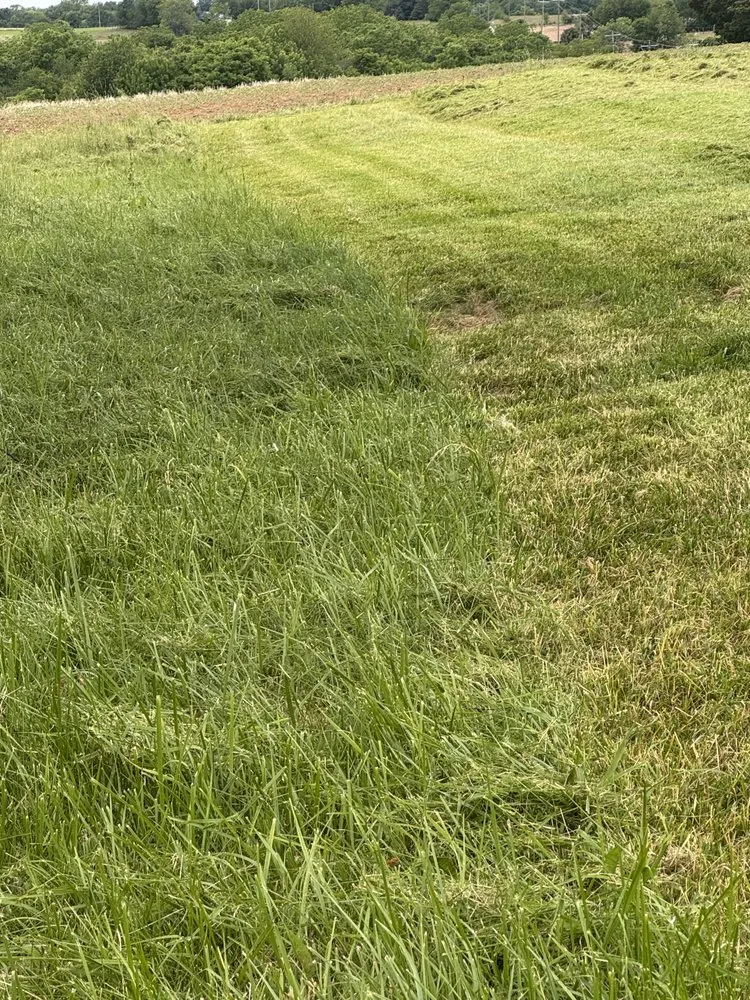 Reliable landscaping services near you across Eminence, KY - Shaw Landworks