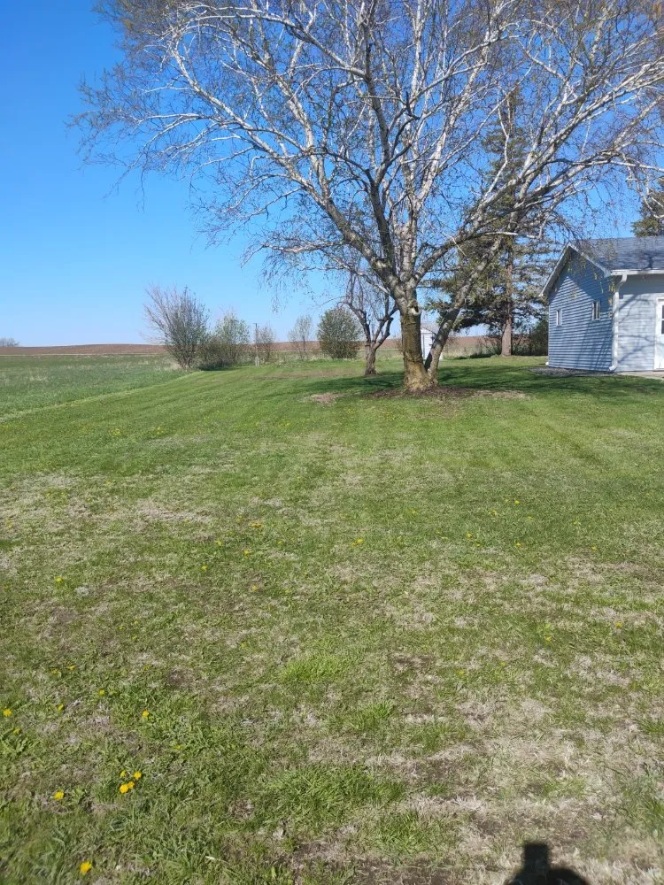Top-rated outdoor landscaping in Darfur, MN by Shaw Lawn Service LLC