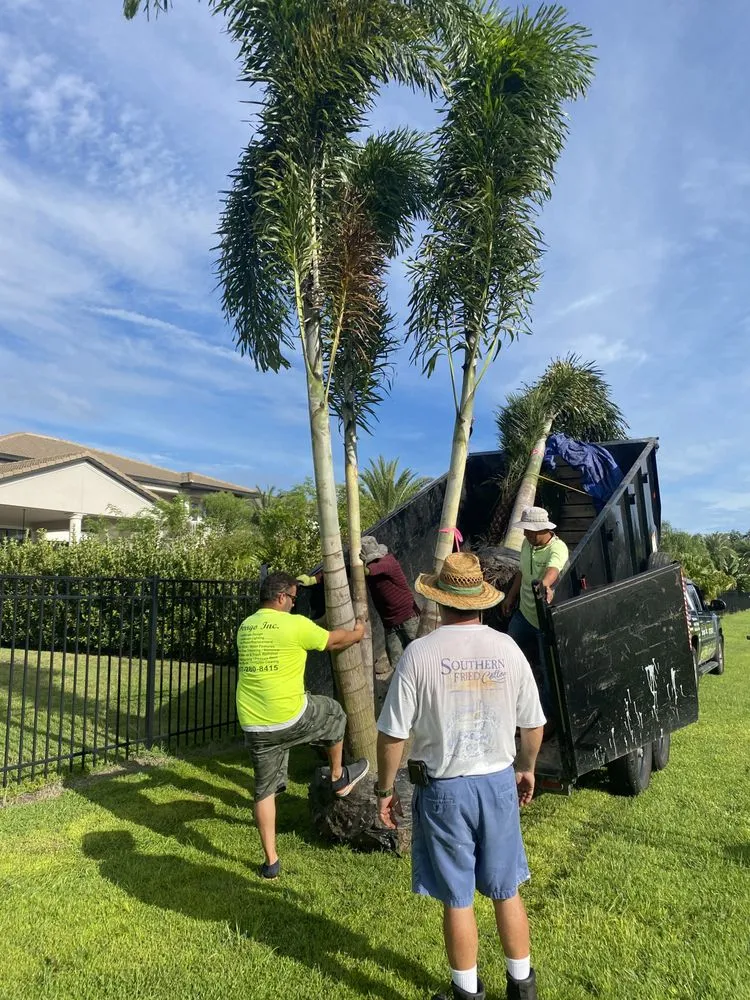 Affordable landscaping services in Mount Dora, FL by Shaw Outdoor Landscapes