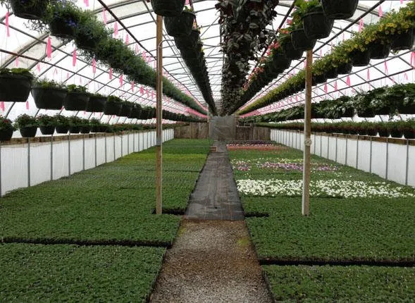 Top-rated lawn care service with custom design across Shawano, WI - Shawano Lawn & Stone Company