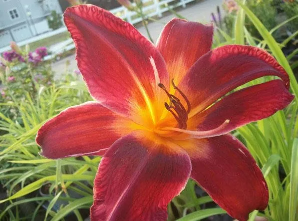 Top-rated garden landscaping for outdoor upgrades across Shawano, WI - Shawano Lawn & Stone Company