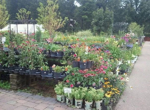 Professional landscaping services for residential properties across Shawano, WI - Shawano Lawn & Stone Company