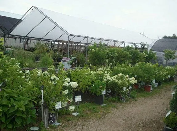 Trusted residential landscaping in Shawano, WI by Shawano Lawn & Stone Company