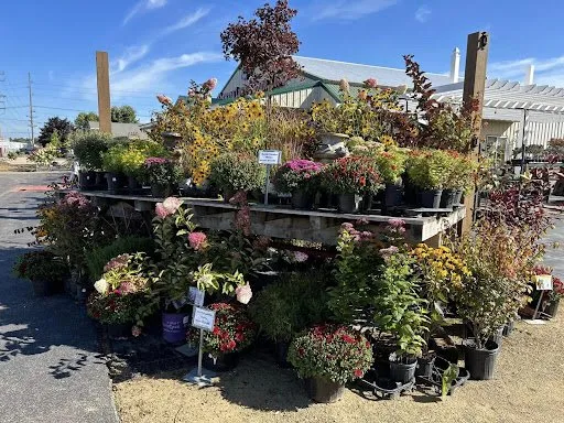 Trusted yard cleanup service in Shawano, WI by Shawano Lawn & Stone Company