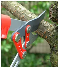 Expert landscape installation experts serving North Yarmouth, ME - Shawn Landscape