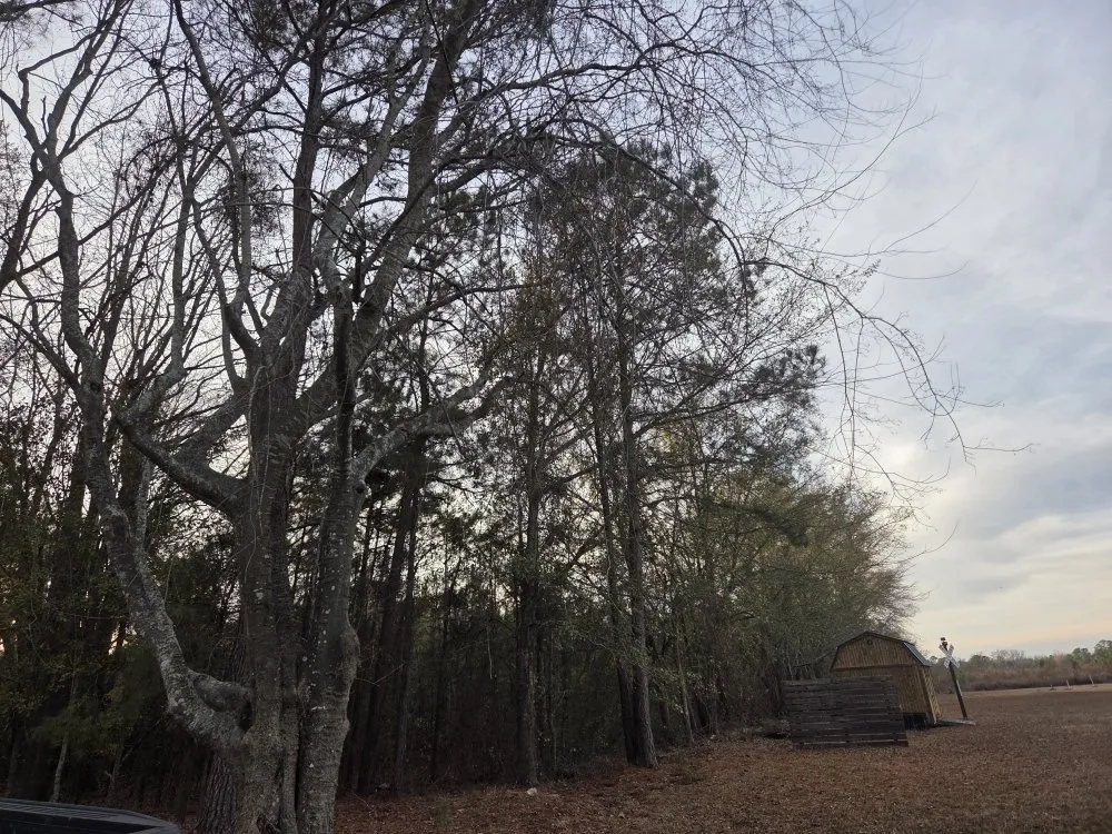 Affordable garden landscaping experts serving Darlington, SC - Shawn Lawn And Trash Services