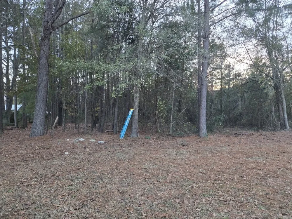 Reliable landscaping services for residential properties across Darlington, SC - Shawn Lawn And Trash Services