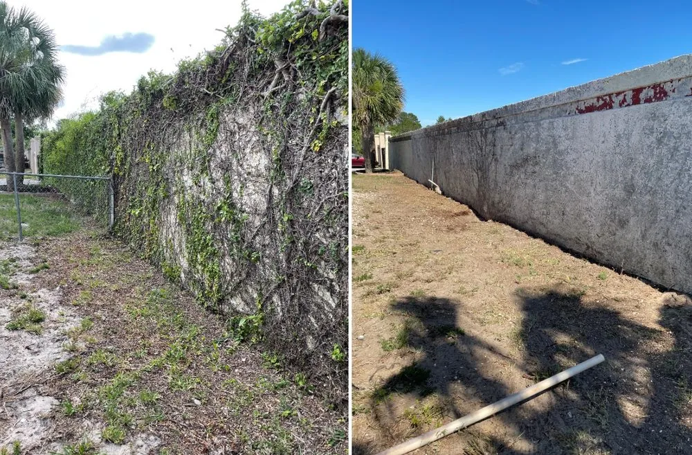 Expert landscaping services for outdoor upgrades across New Port Richey, FL - Shawn Sanderson Tree Service & Property Maintenance