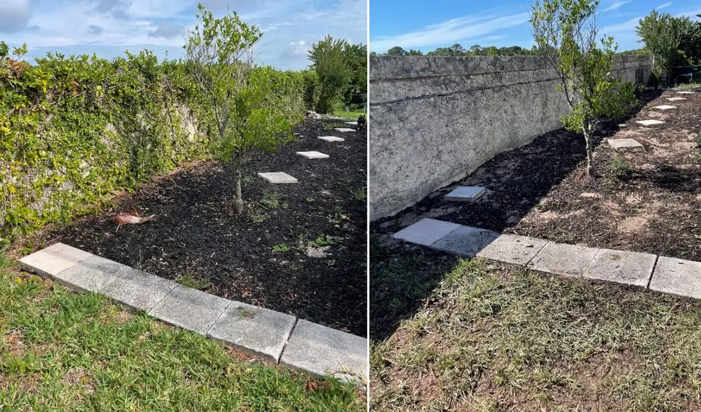 Expert yard cleanup service for outdoor upgrades across New Port Richey, FL - Shawn Sanderson Tree Service & Property Maintenance