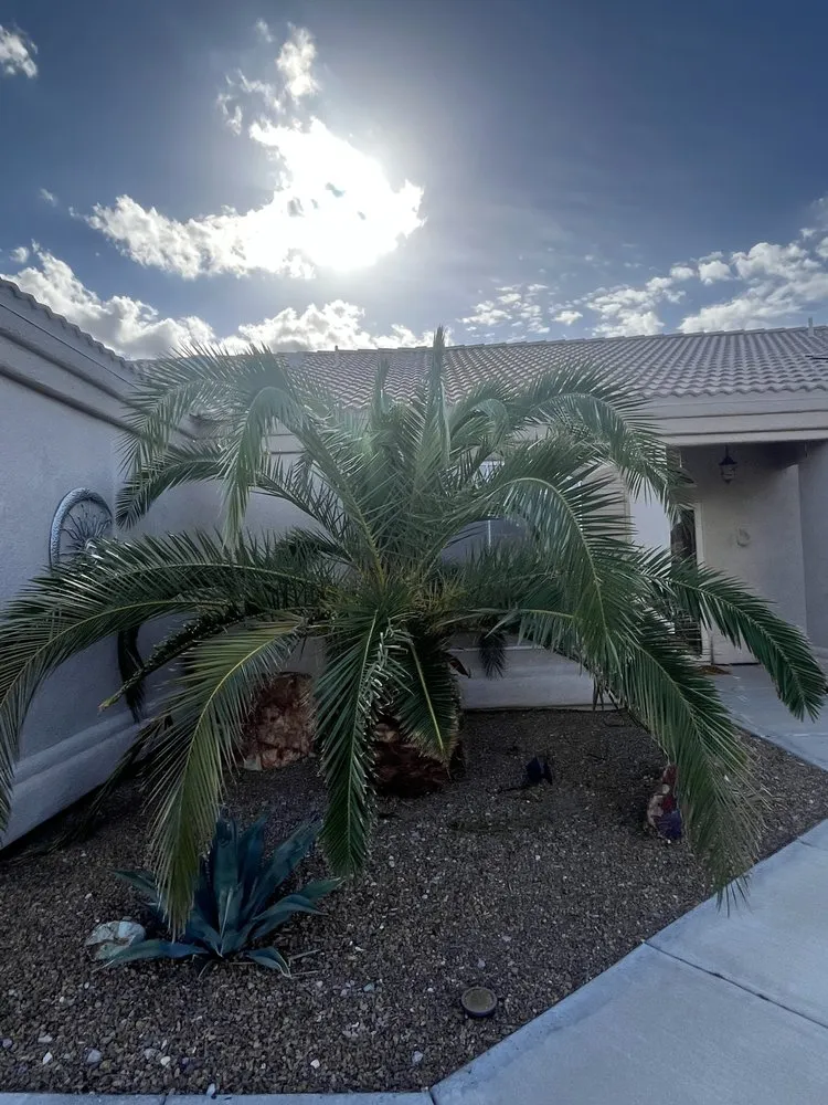 Trusted outdoor landscaping experts serving Bullhead City, AZ - Shawn Stice