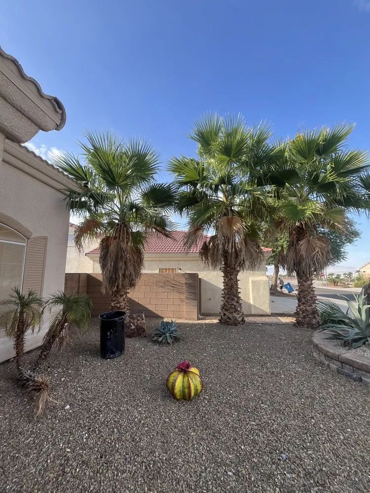 Trusted garden landscaping for outdoor upgrades across Bullhead City, AZ - Shawn Stice