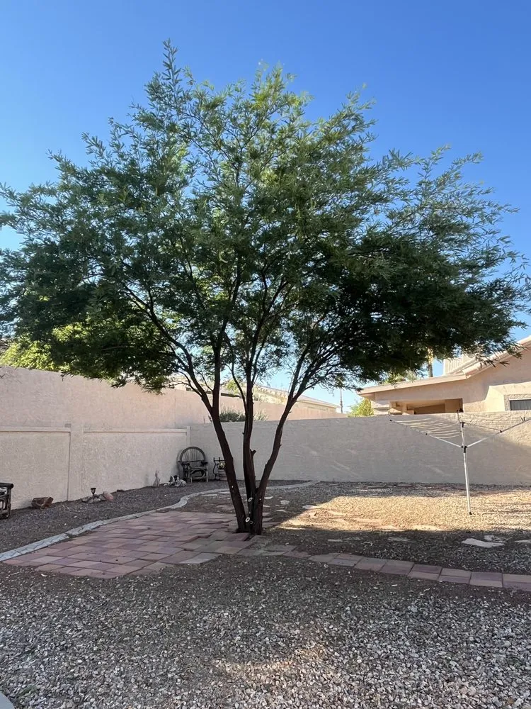 Trusted landscape installation with custom design across Bullhead City, AZ - Shawn Stice