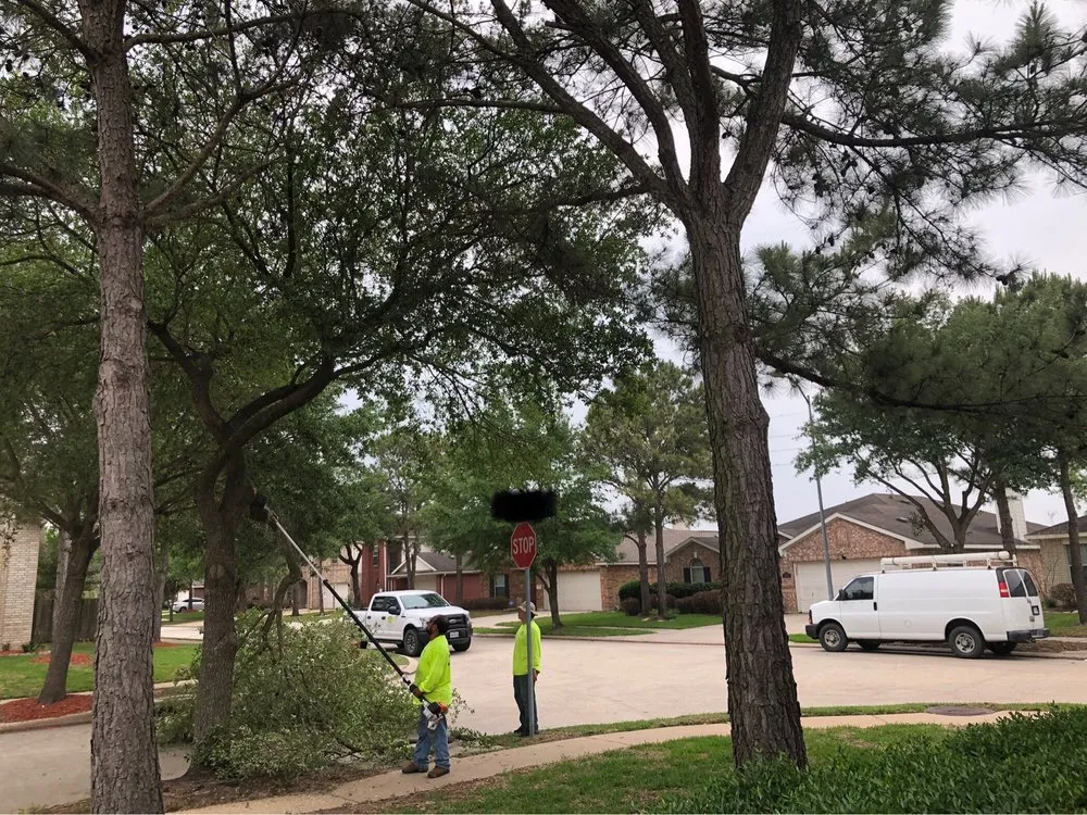 Expert yard cleanup service for residential properties across Katy, TX - Shawnee Trees