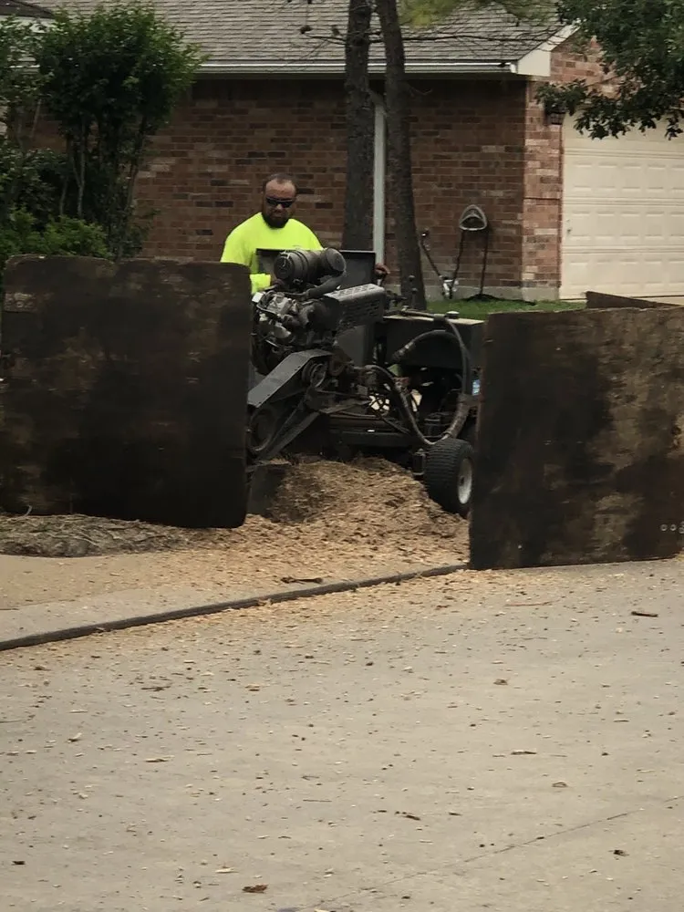 Trusted garden landscaping experts serving Katy, TX - Shawnee Trees