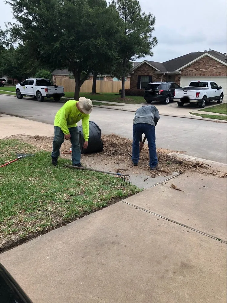 Top-rated landscaping services in Katy, TX by Shawnee Trees