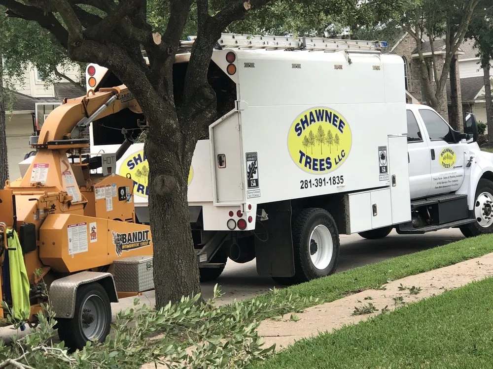 Reliable lawn care service in Katy, TX - Shawnee Trees