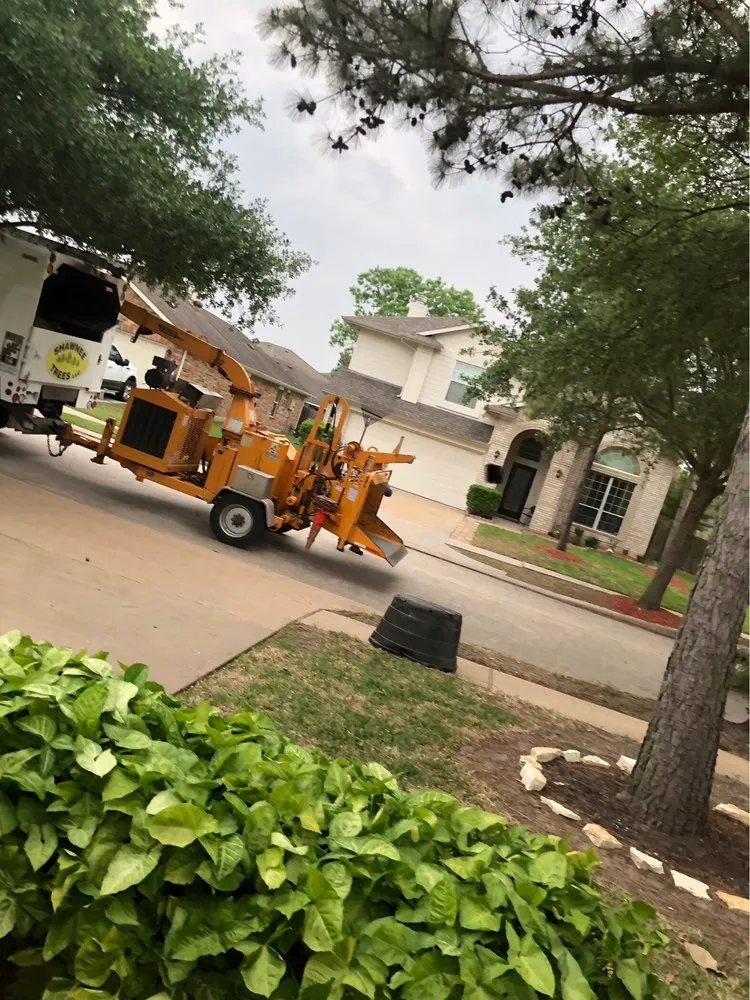 Professional landscape installation experts serving Katy, TX - Shawnee Trees