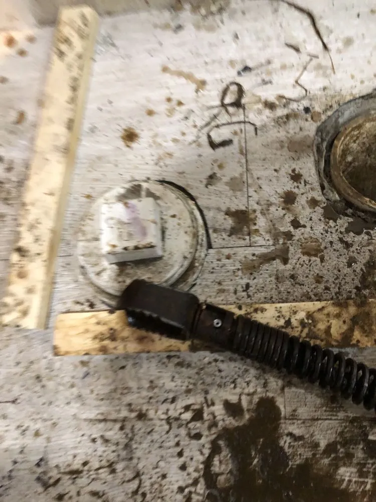 Trusted yard cleanup service in Detroit, MI - Shawn's Botany and Lanscaping