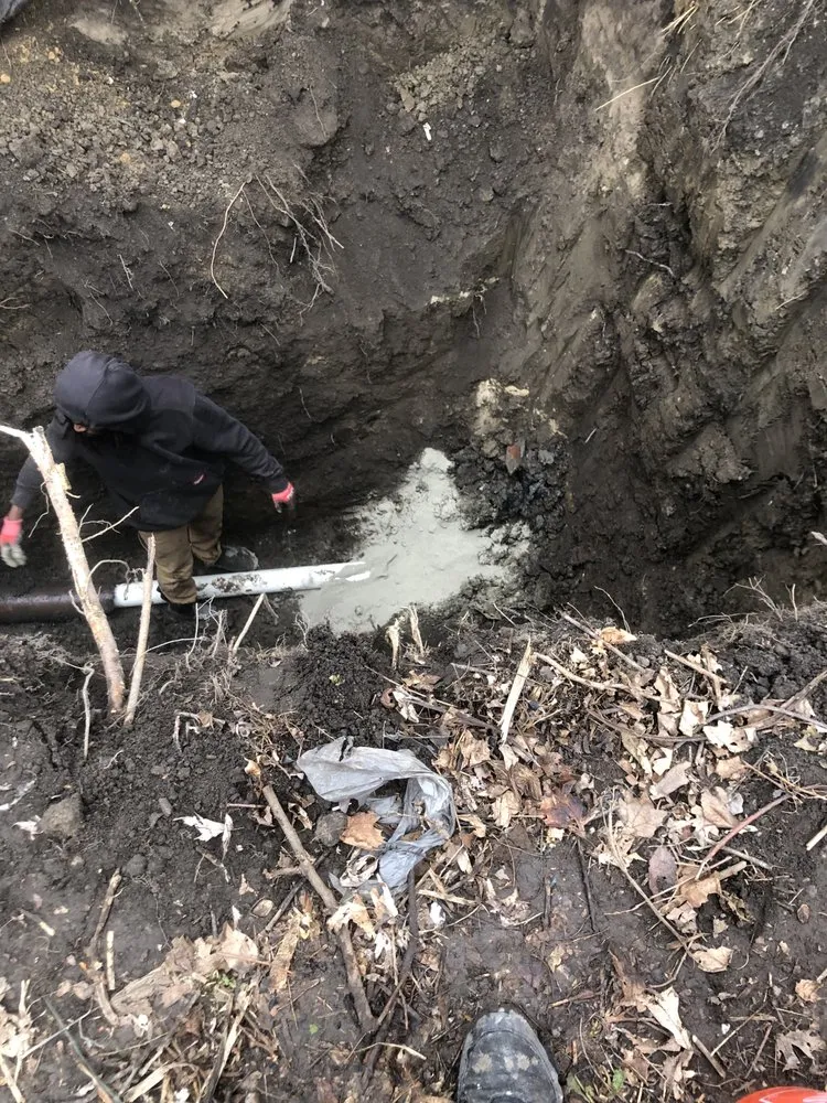 Custom lawn care service experts serving Detroit, MI - Shawn's Botany and Lanscaping