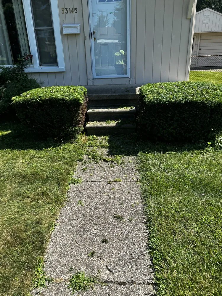 Affordable outdoor landscaping in Detroit, MI by Shawn's Botany and Lanscaping