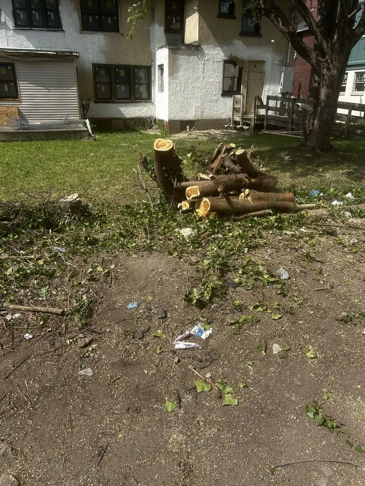 Expert landscape installation for outdoor upgrades in Detroit, MI by Shawn's Botany and Lanscaping