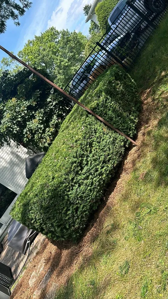 Professional garden landscaping in Detroit, MI by Shawn's Botany and Lanscaping