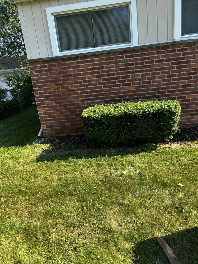 Expert residential landscaping with custom design in Detroit, MI by Shawn's Botany and Lanscaping