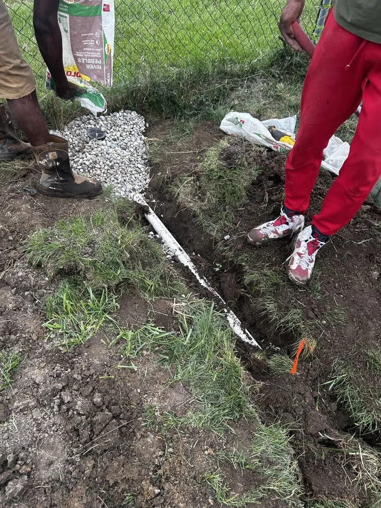 Trusted lawn care service in Detroit, MI by Shawn's Botany and Lanscaping