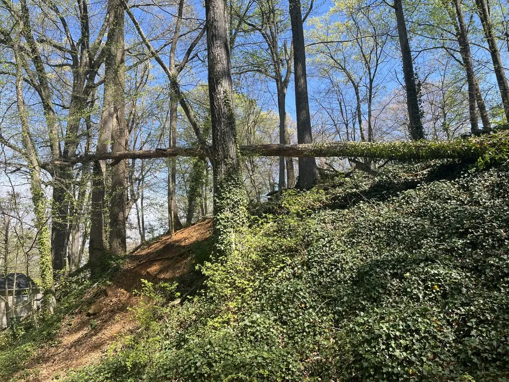 Expert landscape design for residential properties across Camden, NJ - Shawn’S Landscaping