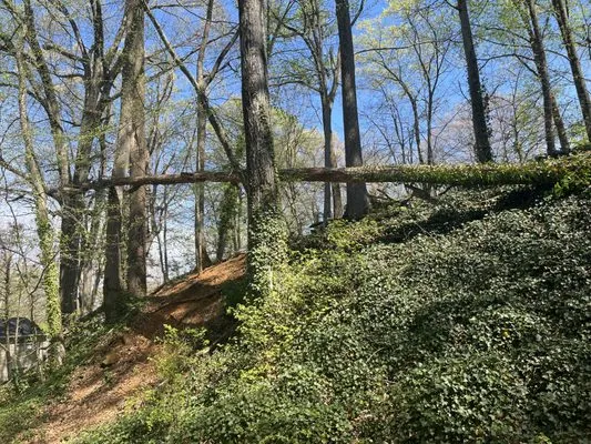 Shawn’S Landscaping