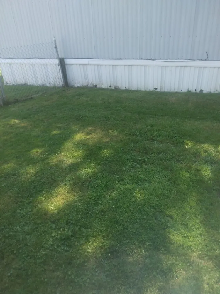 Affordable yard cleanup service experts serving Delaware, OH - Shawn's lawn Maintenance